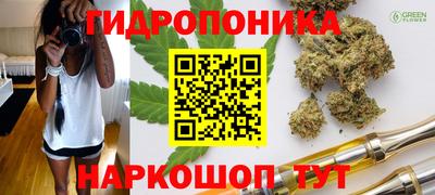 spice Сланцы